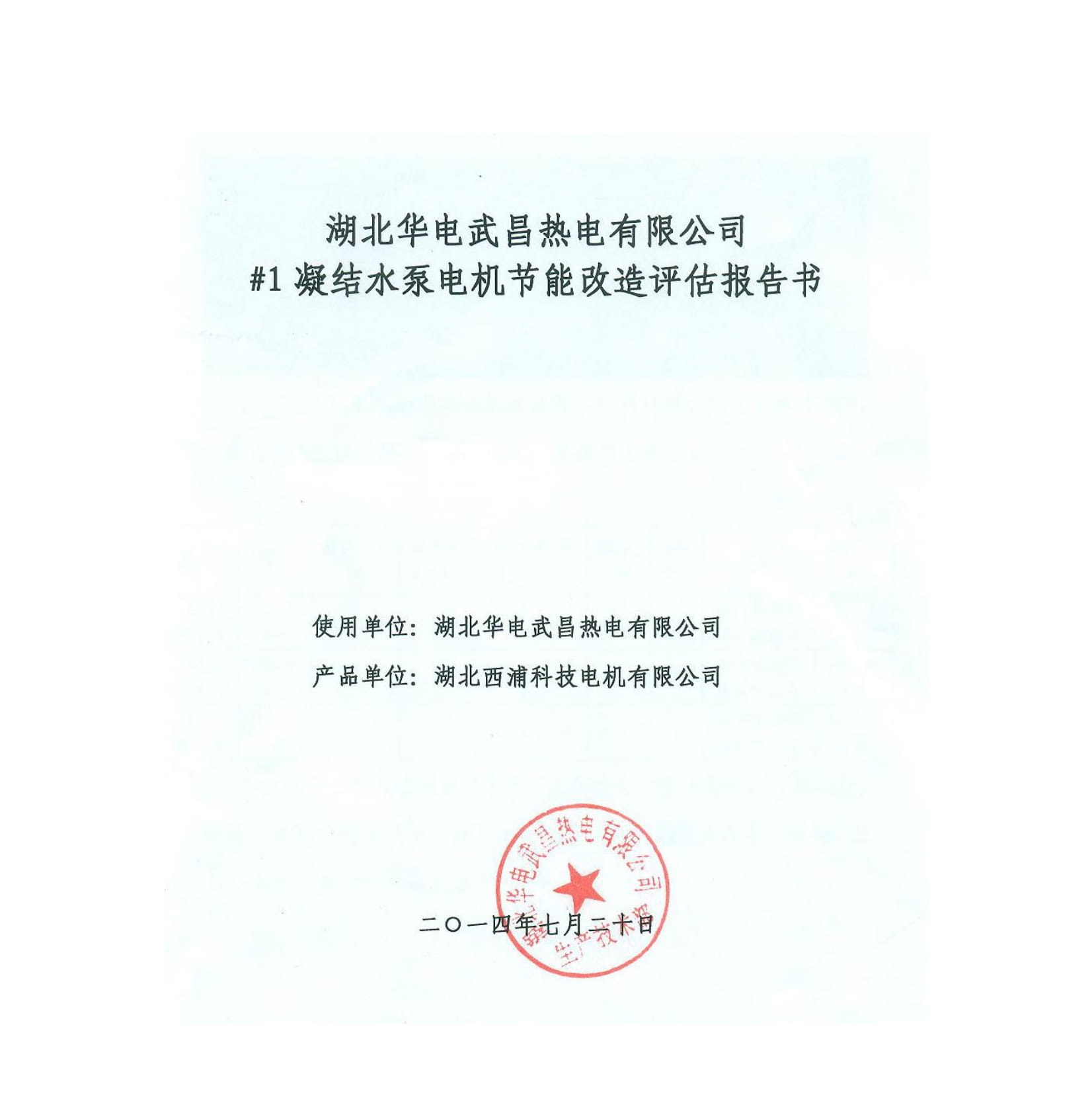 华电武昌热电厂凝结水泵高压电机验收报告-1.jpg